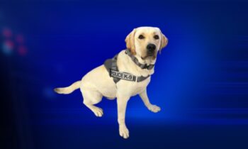 Moscow K-9 takes home 2nd place in narcotics competition