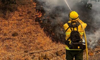Fire season declared in Northeast Oregon amid dry conditions