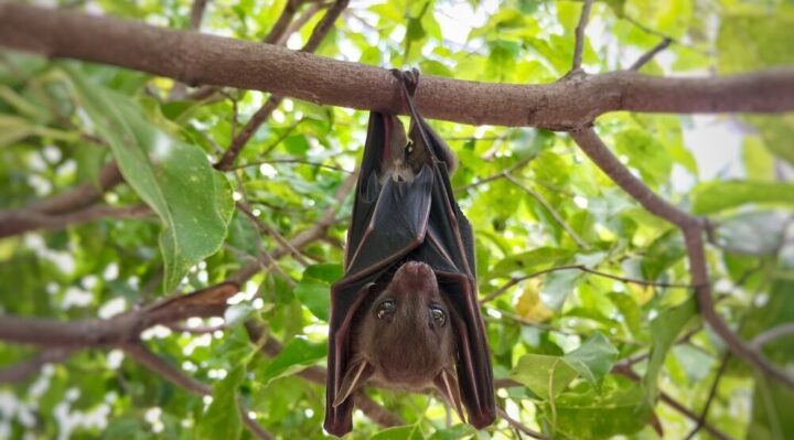 68413294d37ccimagejpg | FOX 28 Spokane