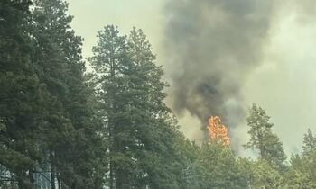 Red Bridge Road evacuation levels reduced as fire conditions improve