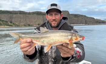 Spokane angler sets new peamouth record on Columbia River