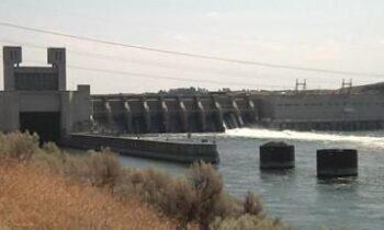Rep. Newhouse backs Trump on decision to keep Lower Snake River dams