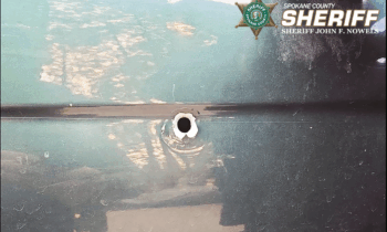 Shooting reported in possible road rage incident on 37th Avenue