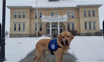 After nine year, Skipper the dog retires from his position as Courthouse Facility Dog