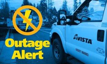 Kettle Falls area faces power outages affecting 508 customers