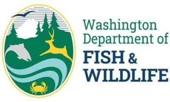 Fire restrictions start July 1 on Eastern Washington public lands