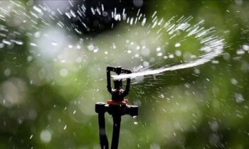 Cheney enforces new lawn watering rules to conserve water
