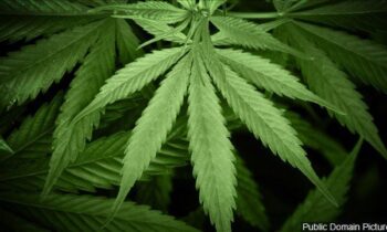 5c0418956890dimagejpg | FOX 28 Spokane