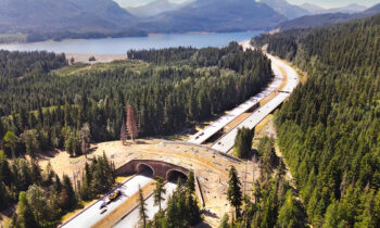 Washington plans more wildlife overpasses to boost driver safety