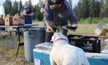 Nettleton fire now 75% contained; Fire crews get therapy dog support