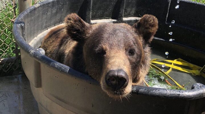 686bfa039c6dbimagejpg | FOX 28 Spokane