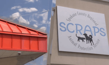 Spokane Valley veteran’s legacy lives on with $126K gift to SCRAPS