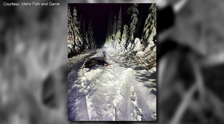 687ec0b6a8a82imagejpg | FOX 28 Spokane