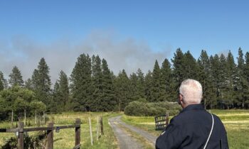 Vegetation fire near South Sherman Road in Spokane County