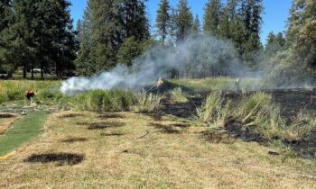 Fire teams respond to brush fire by North Little Spokane Drive and North Perry Road