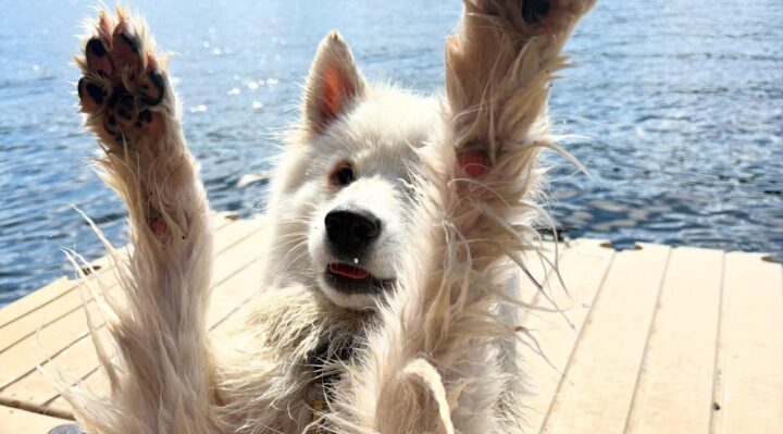 AmyJeanBarker | FOX 28 Spokane