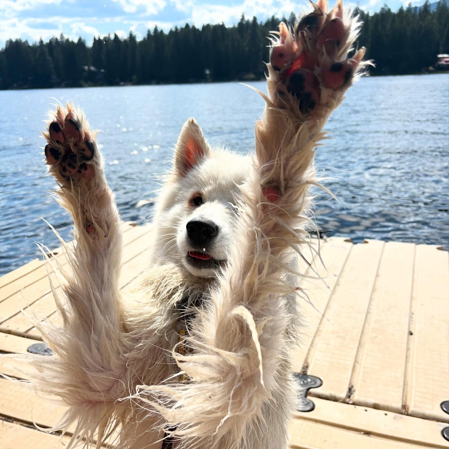 AmyJeanBarker | FOX 28 Spokane