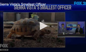 Sierra Vista’s Smallest Officer