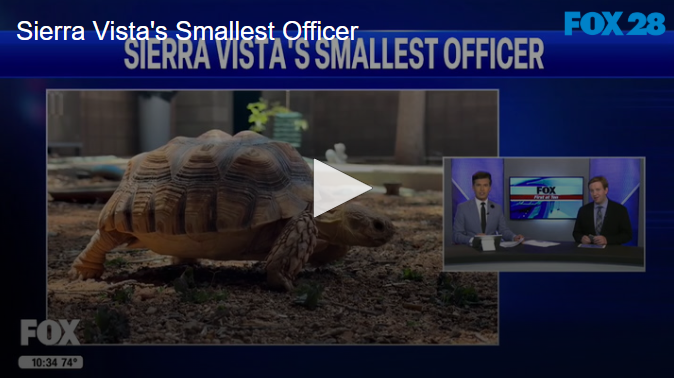 Sierra Vista's Smallest Officer July 15 2025