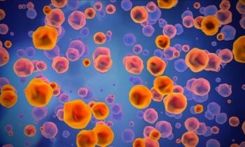 Measles case confirmed in Bonner County, officials urge vaccination