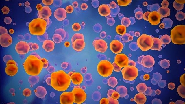 5bfdae0329772.image.jpg | FOX 28 Spokane