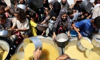 How one Gaza family dedicates each day to finding enough food to survive