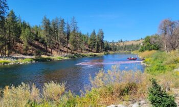 Regional water facility to conduct study of the Spokane River
