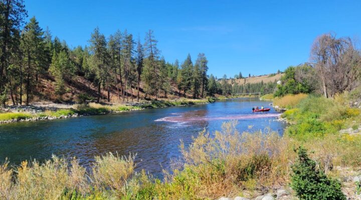 68912fa208679imagejpg | FOX 28 Spokane