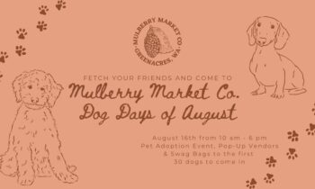 Spokane Valley celebrates annual ‘Dog Days of August’ event