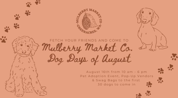 68a1243f3e962.image.jpg | FOX 28 Spokane