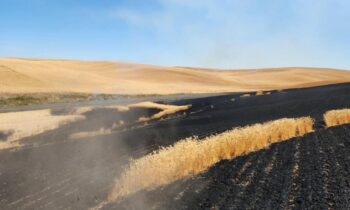 Grain fire in Rosalia prompts Avista investigation