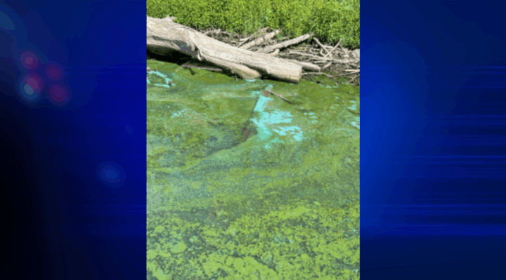 68a791f658ef4.image.png | FOX 28 Spokane