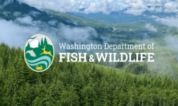 WDFW seeks public input on hunting permit changes in Grant, Spokane counties