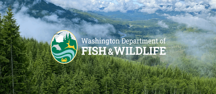 68a7ce310fbd6.image.png | FOX 28 Spokane