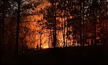 Fire crews tackle vegetation fire near South Marshall Road in Spokane