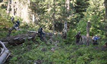 Search for Travis Decker yields no human bones, FBI confirms