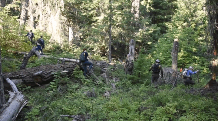 68b0986113e97.image.png | FOX 28 Spokane