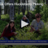 Lookout Pass Offers Huckleberry Picking Aug 19 2025