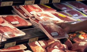 Parasite crisis impacts cattle exports near Texas-Mexico border