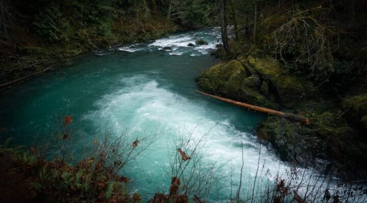 658094f7d6a91.image.jpg | FOX 28 Spokane