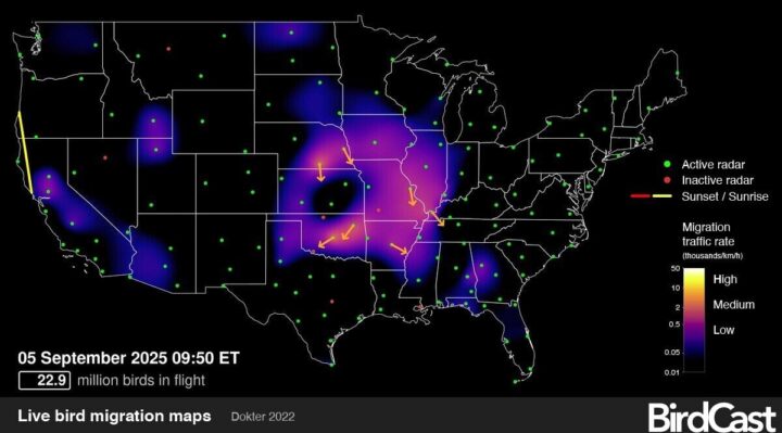 68baf26fb63e3.image.jpg | FOX 28 Spokane