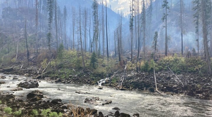 68bdc46729ae8.image.jpg | FOX 28 Spokane