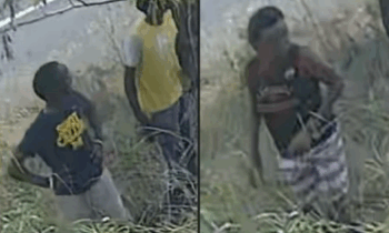 Spokane police seek arson suspects accused of damaging trees