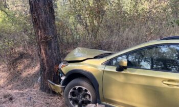 Chattaroy man cited after crashing his car in Ahsahka, fleeing the scene