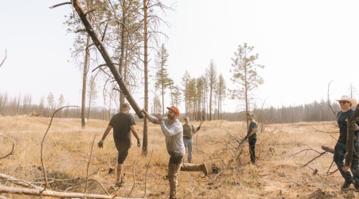 68c5ee2241b04.image.jpg | FOX 28 Spokane