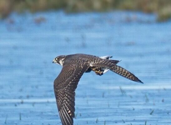 68ce146c35e7e.image.jpg | FOX 28 Spokane