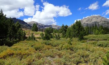 Forest service invests millions in North Idaho and Missoula regions for wildfire defense