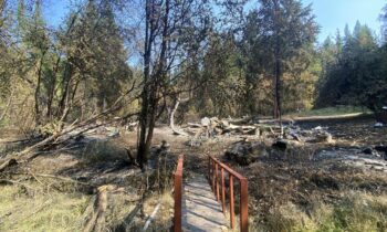 ‘This is where her heart is… She wants to be back’: Woman hopes to rebuild her home after Crown Creek Fire