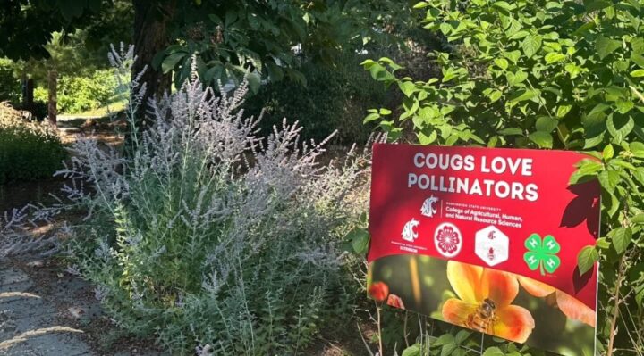 68dcaded37817imagejpg | FOX 28 Spokane