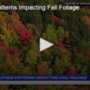 Weather Patterns Impacting Fall Foliage September 2 2025